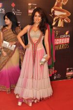 Vidya Malvade at Screen Awards red carpet in Mumbai on 12th Jan 2013 (305).JPG